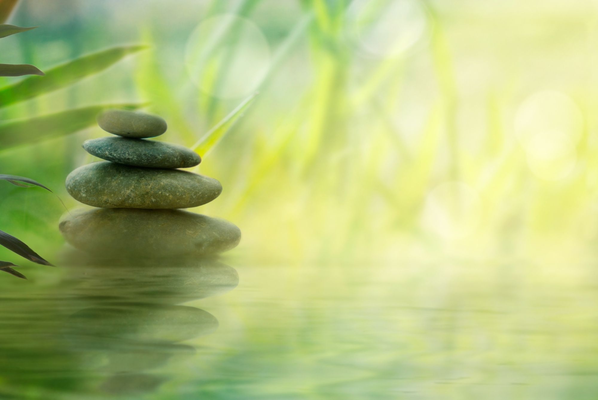 Discover Serenity: The Ultimate Guide to Russian Spa in Calangute 1 Healing Touch Menu